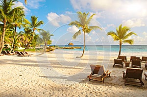 Tramonto un sogno Spiaggia Palma un albero Attraverso sabbia. tropicale Paradiso. domenicano, caraibico,. antico 