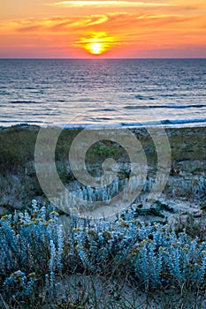 Sunset on the dune in the south west