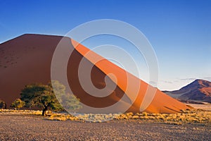 Sunset dunes of Namib desert, South Africa