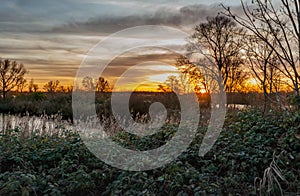 Sunset in the Dutch National Park Biesbosch