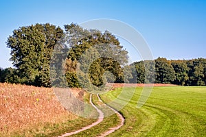 Sunset at a Dutch walking trail along lush green fields