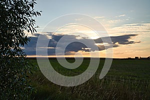 Sunset at the edge of a forest bordering a field in Sweden on the island of Oeland