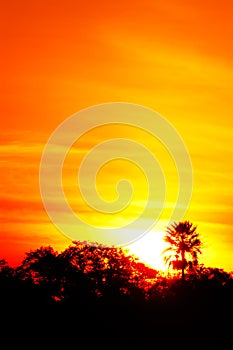 Sunset in Esteros Del Ibera, Argentina