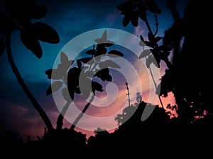 Sunset Evening background image with colourful sky