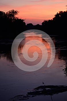 Sunset in the evening on a calm river, with dark trees on the edge, in portrait format