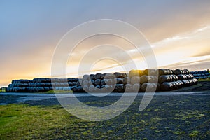 Sunset evening in the farm with big black hay bales bags of straw and green ground