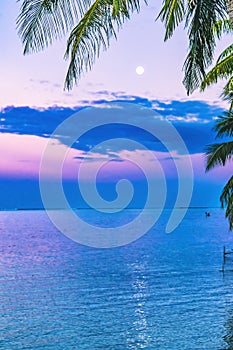 Sunset Evening Moon Reflection Blue Water Moorea Tahiti