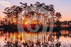 Sunset in the Everglades