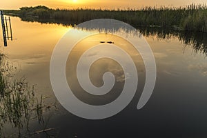 Sunset in the Everglades