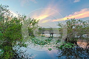 Sunset at the Everglades National Park