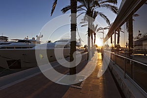 Sunset at the famous Puerto Portals in Majorca photo