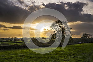 Sunset in farm fields with tree and beautiful cloudy sky, Cornwall, UK