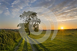 Sunset in farm fields with tree and beautiful cloudy sky, Cornwall, UK