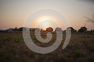 Sunset at a farm in Thailand , background picture , light and shadow purpose