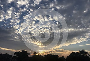 Sunset with feathery clouds