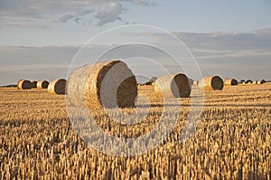 Sunset on the field with rolls of hay