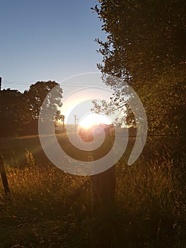 Sunset fields