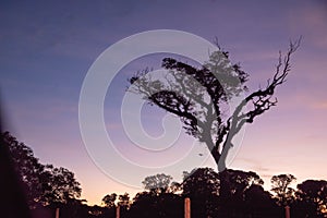 Sunset in the fields of the City of Itaara RS Brazil