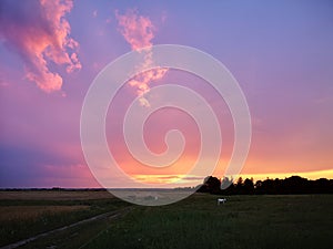 Sunset in fields of cut grain