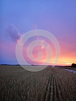 Sunset in fields of cut grain