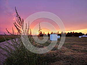 Sunset in fields of cut grain