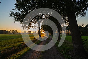 A sunset between  the fields on a forest path in autumn