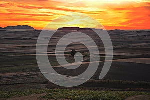 Sunset between the fields. Marsala - Sicily