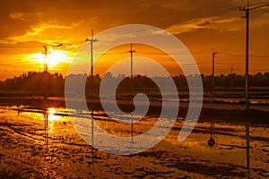 Sunset in the fields