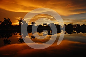 Sunset of fire over the lake and palm trees in the tropical island of Borneo in Kota Kinabalu, Malaysia. Spectacular co