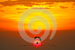 sunset flying birds and silhouette paramotor over sea and colorful red cloud on sky