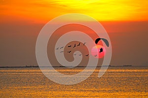 sunset flying birds and silhouette paramotor over sea and colorful red cloud on sky