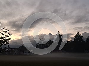 A sunset, a fog and a lot of trees