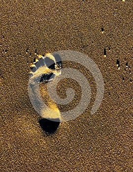 Sunset Footprint in Sand