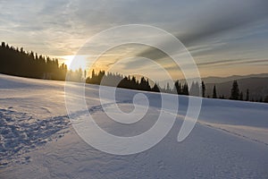 Sunset and footprints on a snow field in a mountain forest