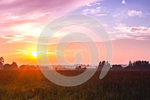 Sunset of the forest against background of clearing and forest s