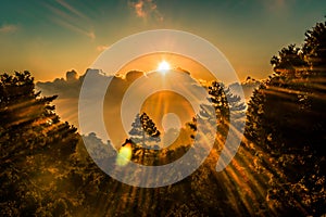 Sunset forest dramatic HDR shot