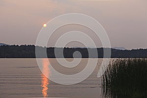 Sunset through forest fire