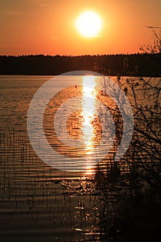 Sunset At Forest Lake