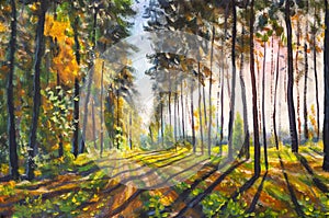 Sunset forest landscape painting Park, trees, sun rays
