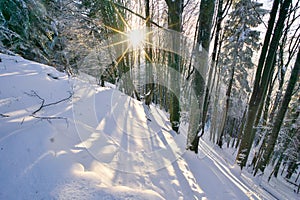 Sunset in the forest on Lubietovsky Vepor on Polana mountains