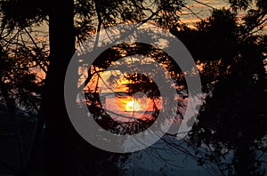 Sunset in the forest