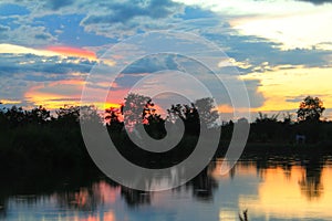 Sunset in the forest