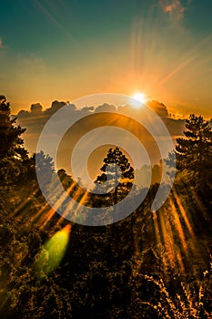 Sunset forest dramatic HDR shot