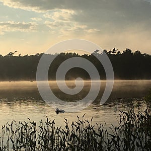 Sunset at frog pond