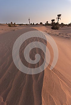 Sunset at the gates of the Sahara desert