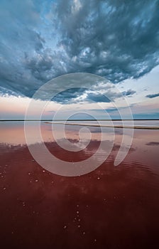 Sunset Genichesk pink  salty lake, Ukraine