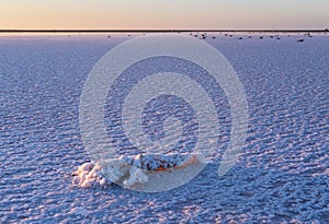 Sunset Genichesk pink salty lake  Ukraine