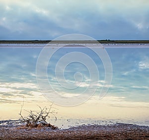 Sunset Genichesk pink  salty lake, Ukraine