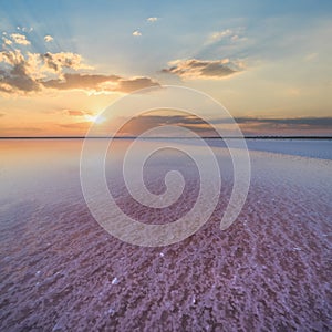 Sunset Genichesk pink  salty lake, Ukraine