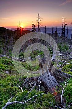 Sunset in Giant mountains